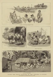 Weltumsegelung in der Ceylon, X, Ceylon